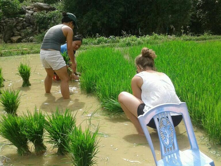 Yen Nhi Homestay Ban Gioc Cao Bang Eksteriør billede
